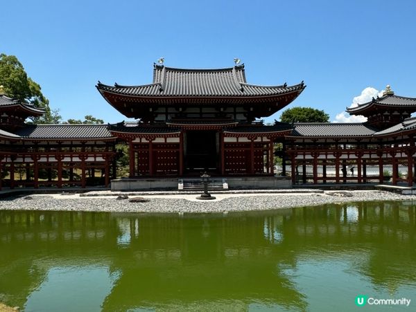 宇治平等院世紀美學✨鳳凰展翅🐦