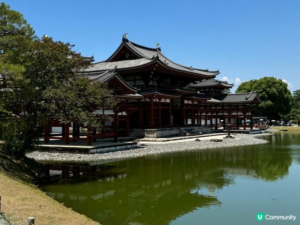 宇治平等院世紀美學✨鳳凰展翅🐦