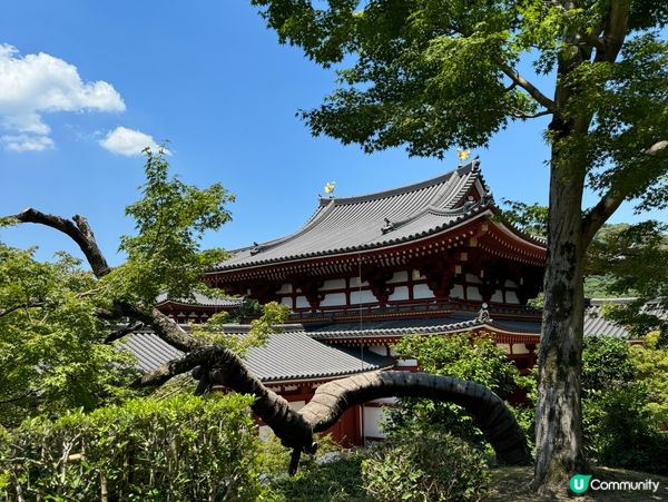 宇治平等院世紀美學✨鳳凰展翅🐦