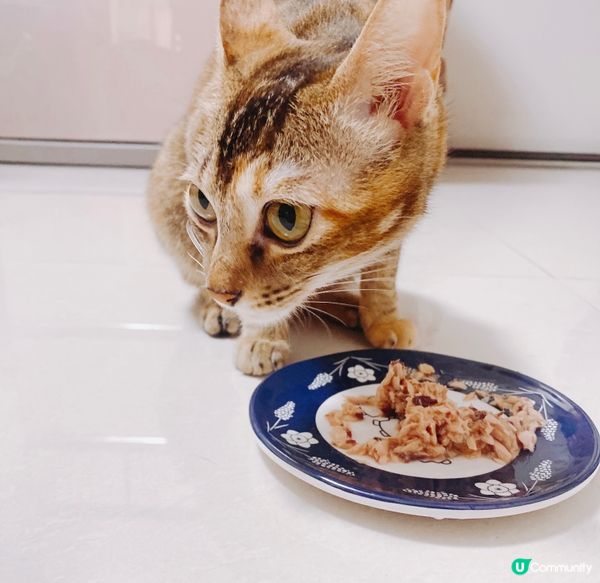 九點🌤️ 食個早餐先😋試新罐