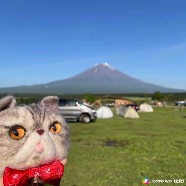 🇯🇵🗻無死角嘆富士山大草地