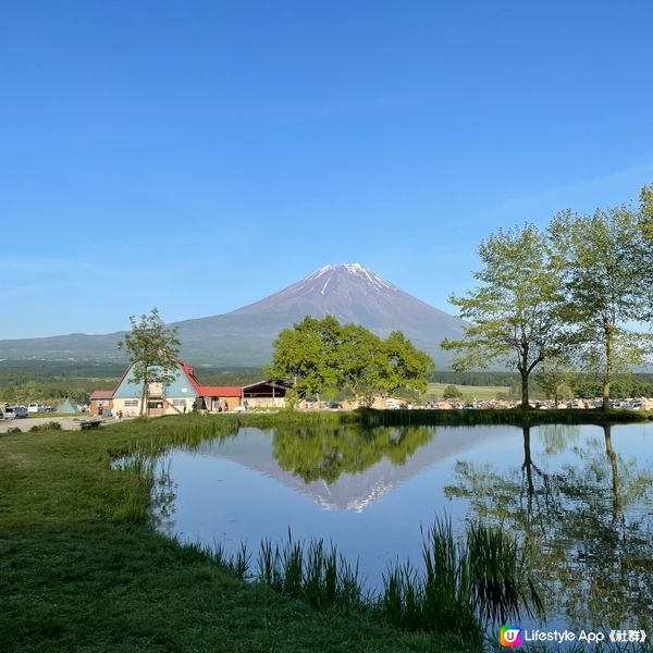 🇯🇵🗻無死角嘆富士山大草地