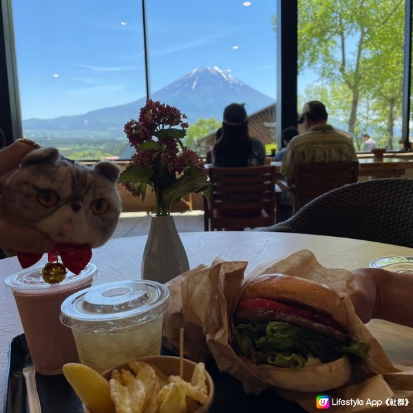 🇯🇵🗻無死角嘆富士山大草地