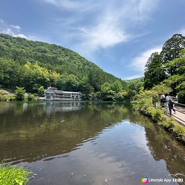日本福岡自由行•探索由布院的金鱗湖之美