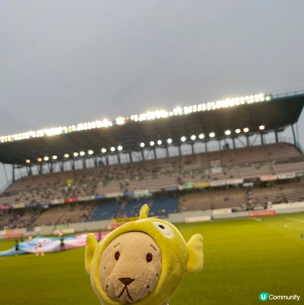 日本天皇杯 鳥栖主場