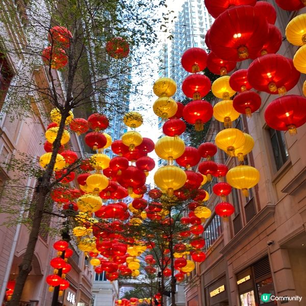 🏮新年燈籠🏮  打卡必備！