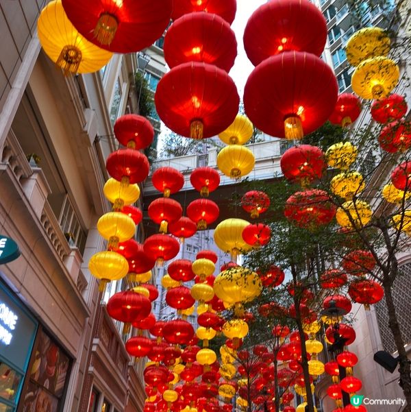 🏮新年燈籠🏮  打卡必備！