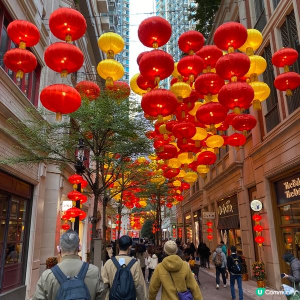 🏮新年燈籠🏮  打卡必備！