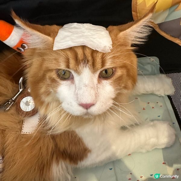 夏日消暑好方法