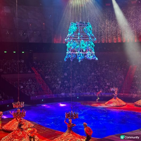 水舞間🤩澳門必睇！震撼視覺盛宴！🌊