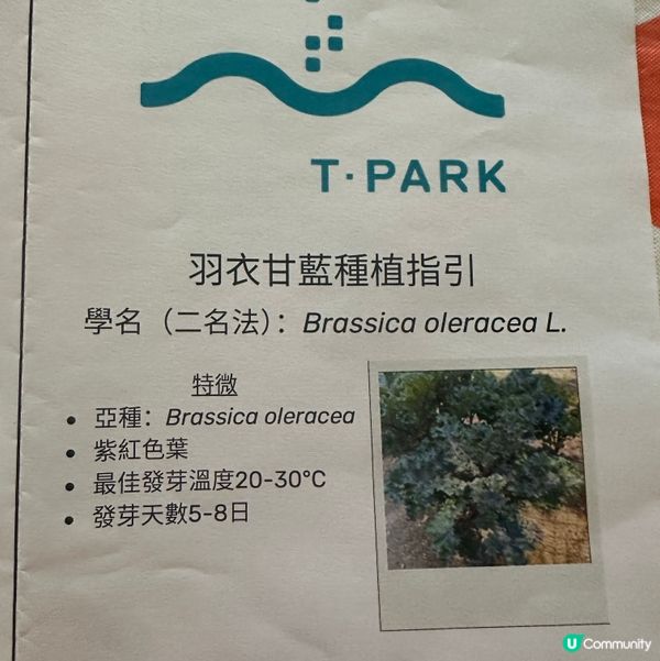 種植分享