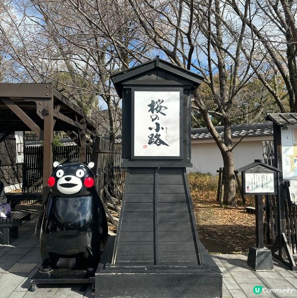 熊本城、櫻之馬場城彩苑🏯