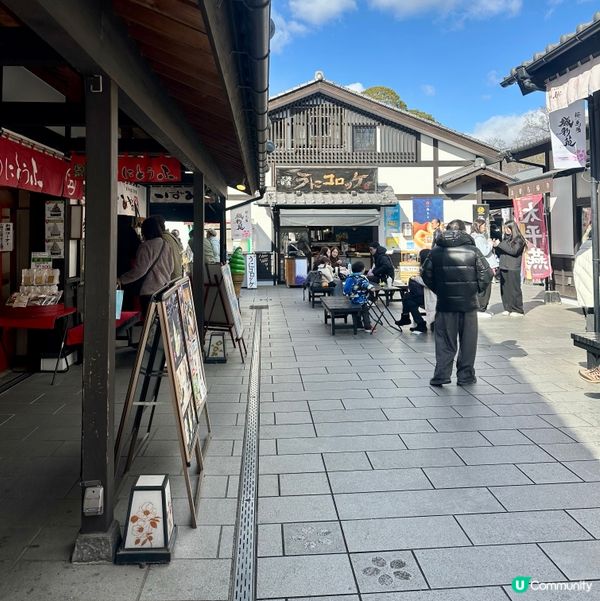 熊本城、櫻之馬場城彩苑🏯