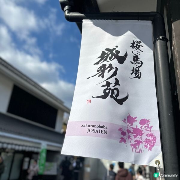 熊本城、櫻之馬場城彩苑🏯