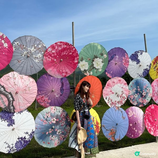 信芯園向日葵花海🌻😍