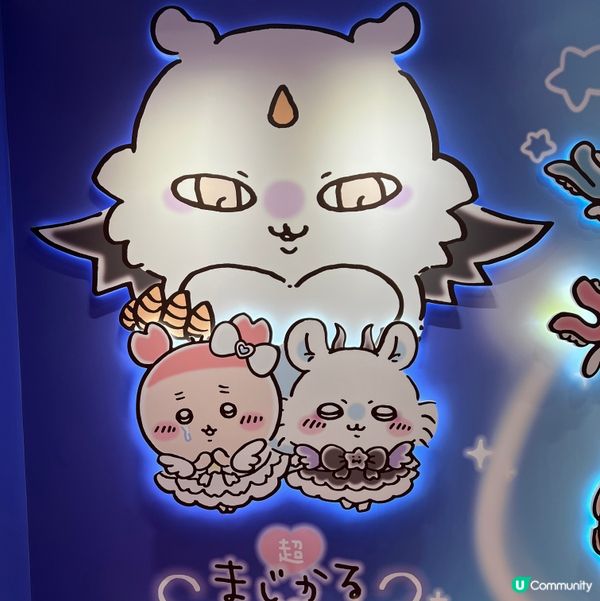 旗艦店開咗！記得預約執飛！🥳