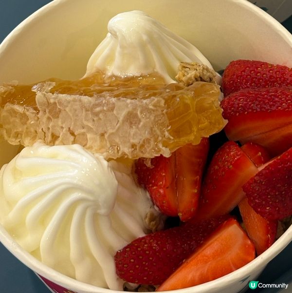 Froyo is back!! $58大滿足！