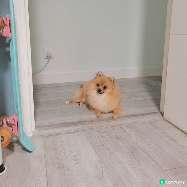 每次mama係房做野