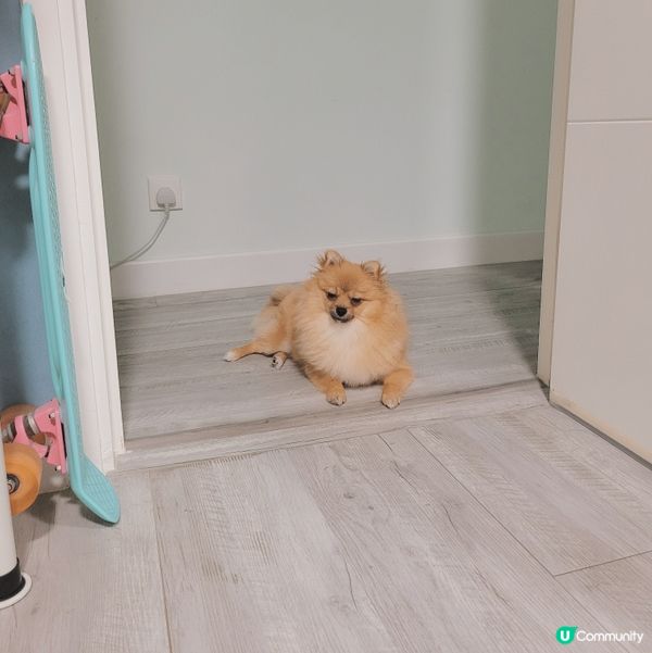 每次mama係房做野