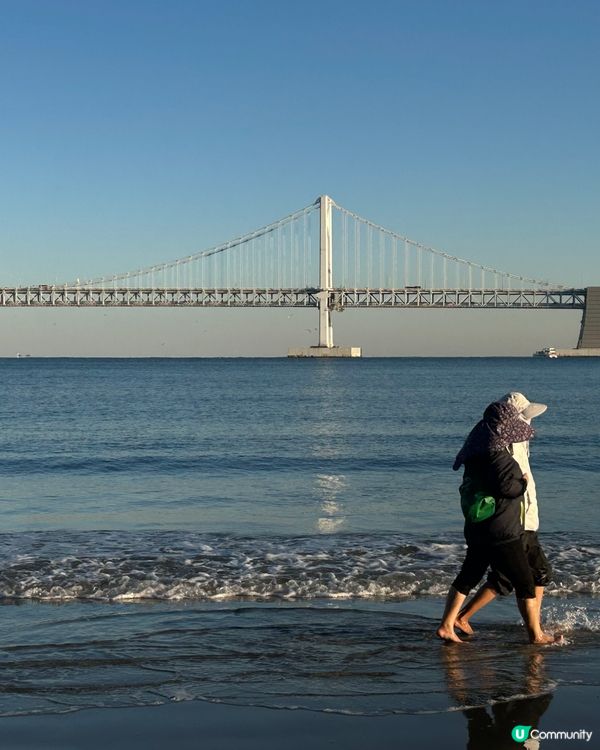 海灘🌊vs高樓🏙️，自由又活力！