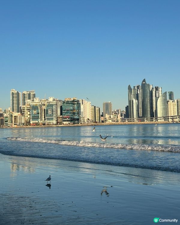 海灘🌊vs高樓🏙️，自由又活力！