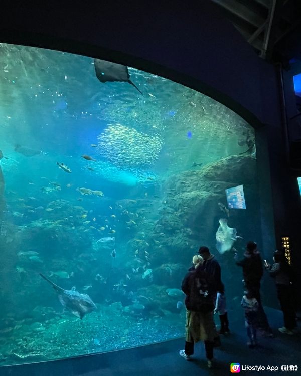 新江之島水族館🐠🐟🐬🐡🐋🦈🦭