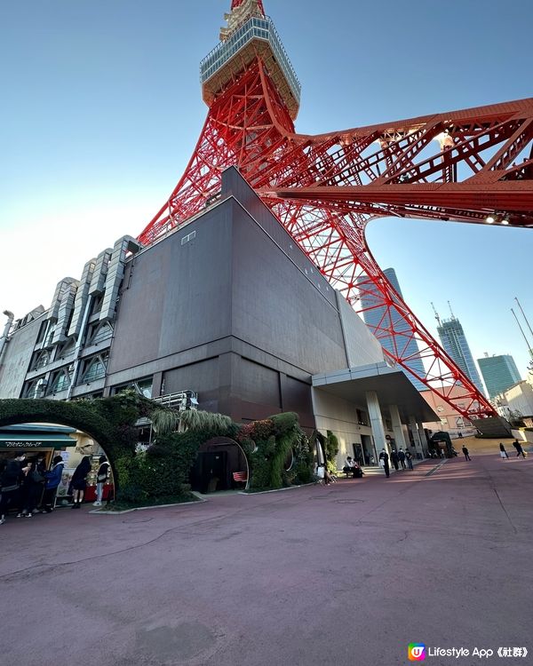 東京鐵塔🗼高又靚又正又光