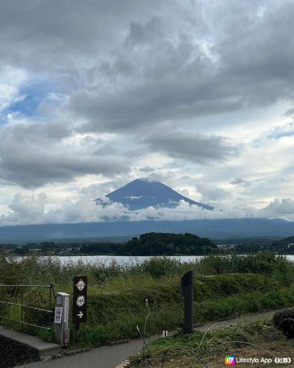 東京必去河口湖