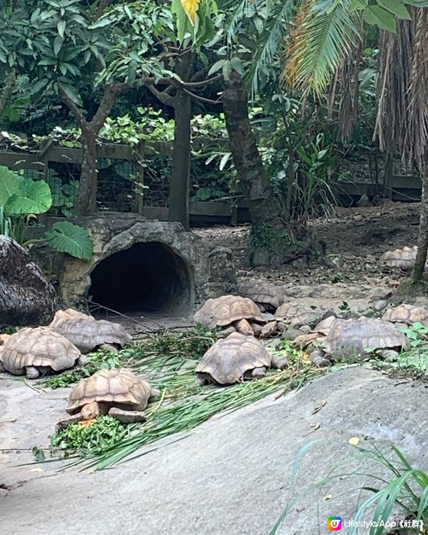 台北平價動物園