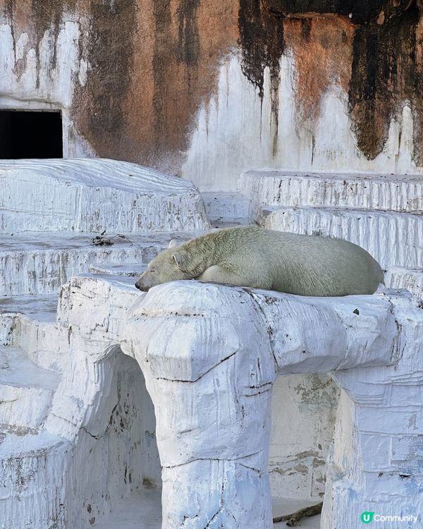 大阪動物園