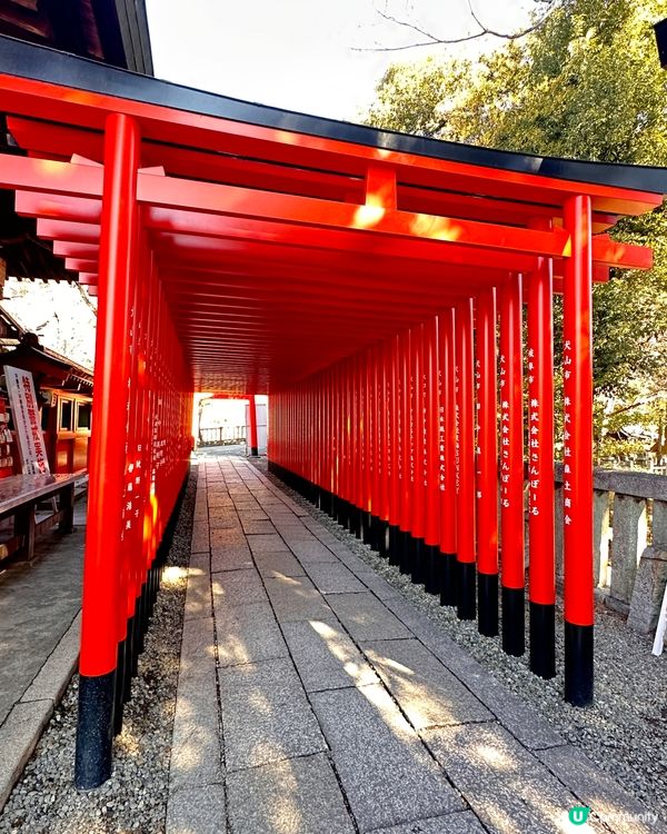 去神社⛩️參拜