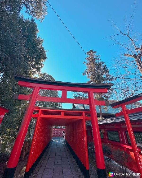 去神社⛩️參拜