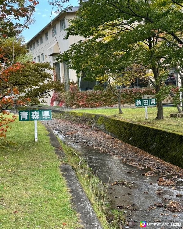 風景如畫，舒適👍