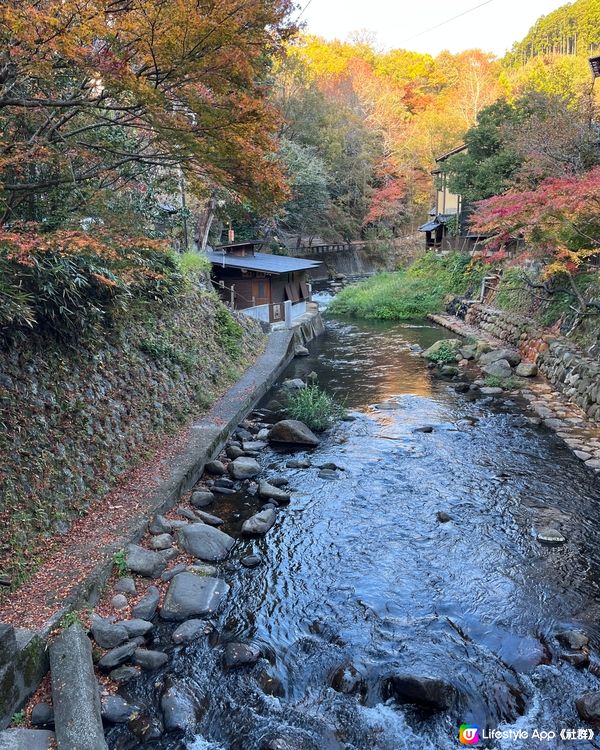 福岡開始有紅葉