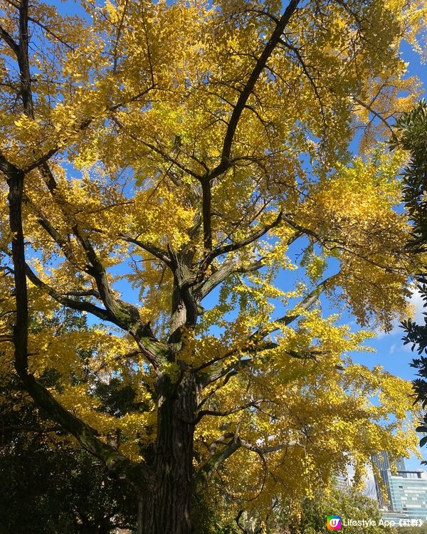 大阪城公園