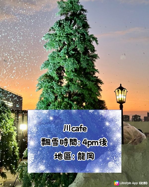 🎄深圳聖誕限定 打卡Cafe合集 (龍崗 & 福田)☃️