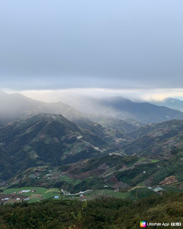 清清草地清境遊