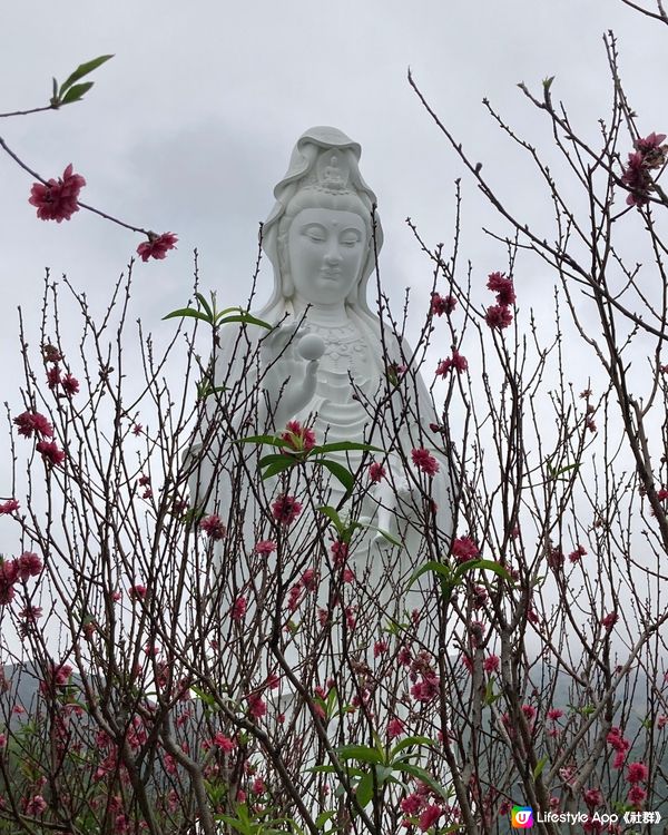 大埔慈山寺的一個下午