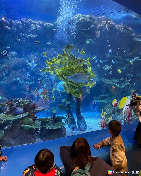 深圳小型水族館