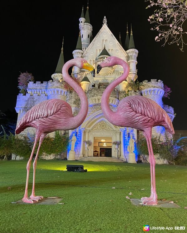 曼谷夜市美食兼美景