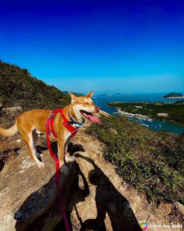 🌟2小時行山靚景遊🐶