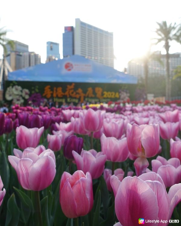 香港花卉展