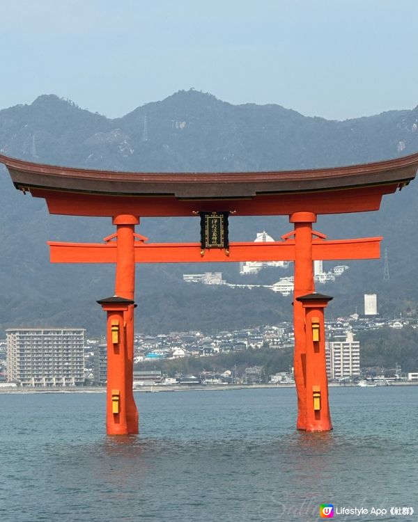 水中鳥居⛩️美麗的巖島神社