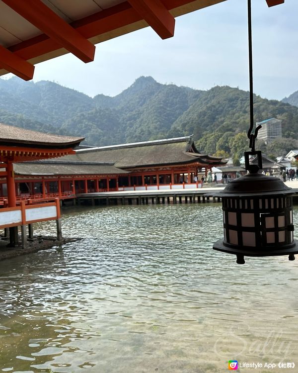 水中鳥居⛩️美麗的巖島神社