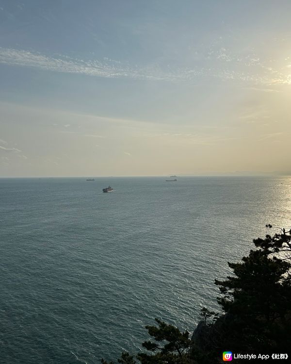 🇰🇷韓國釜山超靚日落！太宗臺