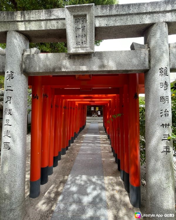 福岡遊の櫛田神社⛩️櫻花🌸