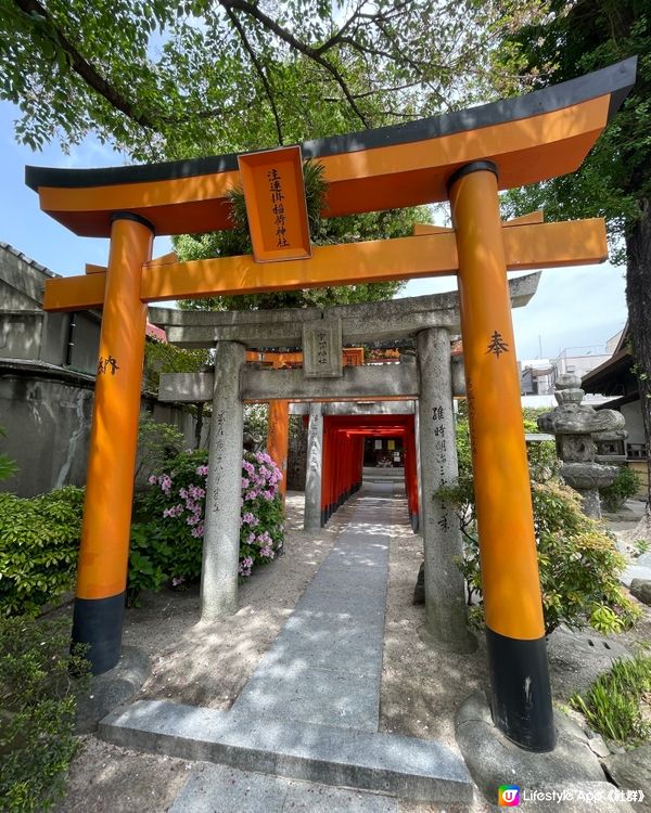 福岡遊の櫛田神社⛩️櫻花🌸