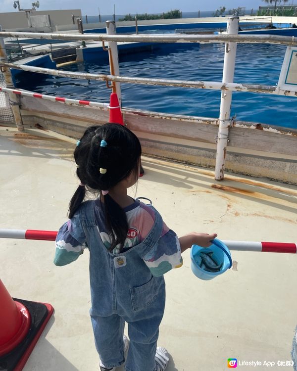 沖繩必打卡景點🐋美麗海水族館