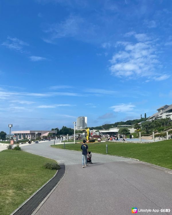 沖繩必打卡景點🐋美麗海水族館