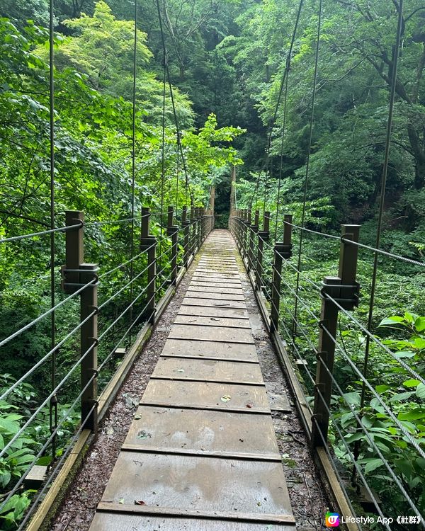 東京郊遊@高尾山